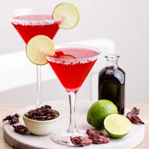Hibiscus Margarita