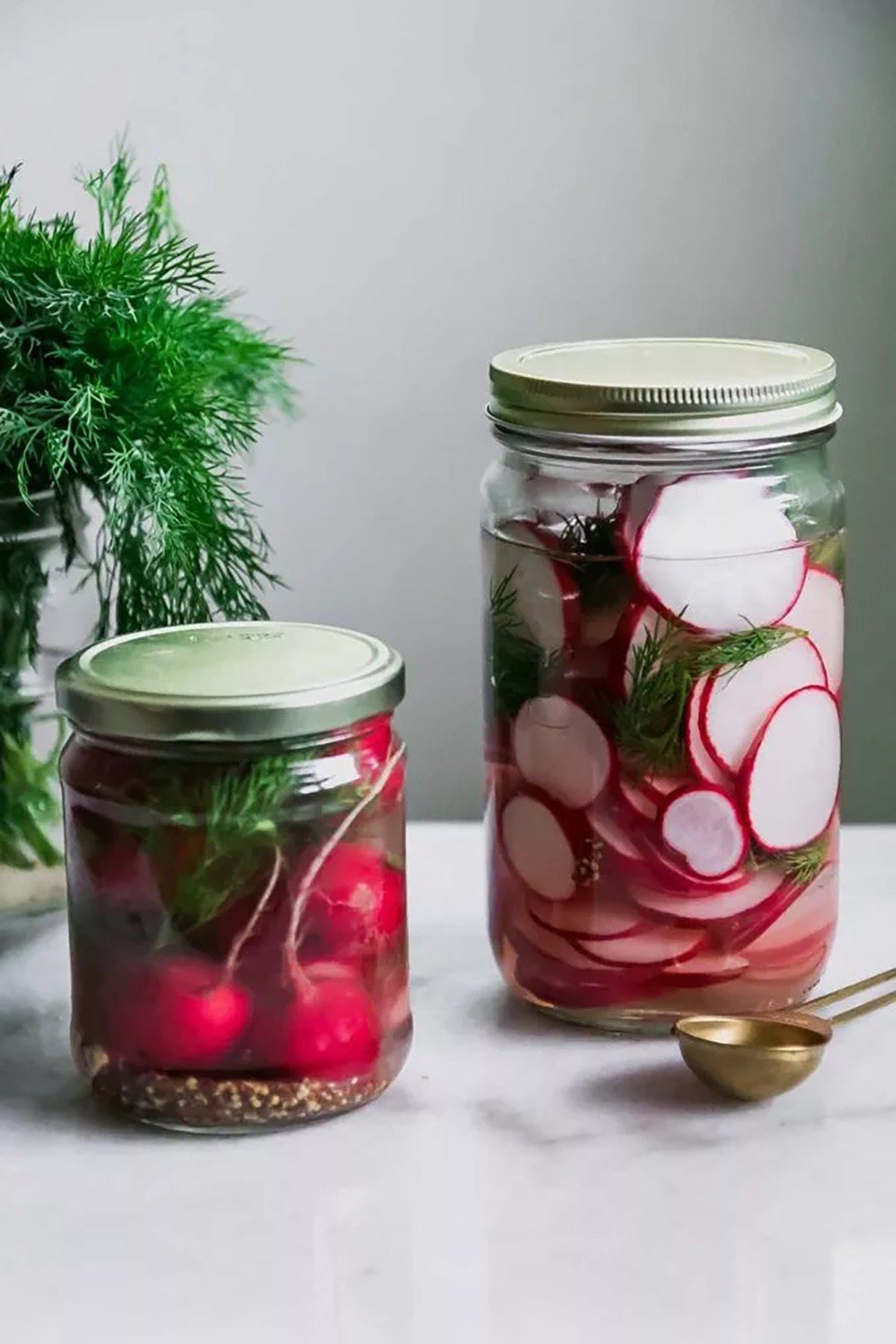 Dill Pickled Radishes