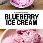 Blueberry Ice Cream