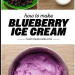 Blueberry Ice Cream