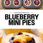 Blueberry Pie