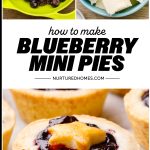 Blueberry Pie