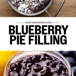 Blueberry Pie Filling