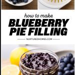Blueberry Pie Filling