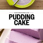 Blueberry Pudding Cake