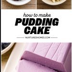 Blueberry Pudding Cake