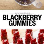 Blackberry Gummies