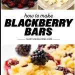 Blackberry Cobbler Bars