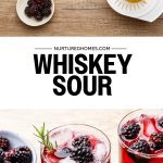 Blackberry Whiskey Sour