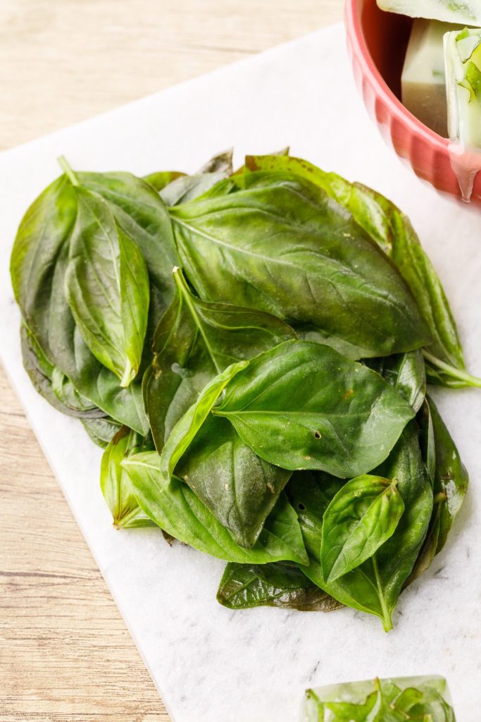 Can You Freeze Basil