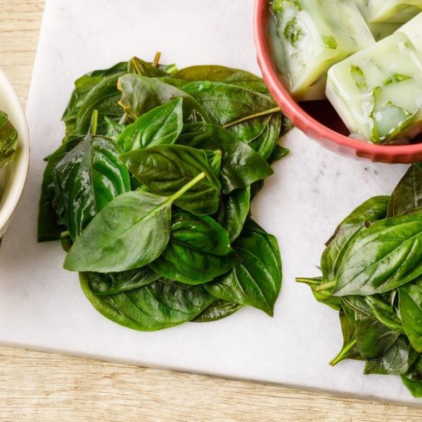 Can You Freeze Basil