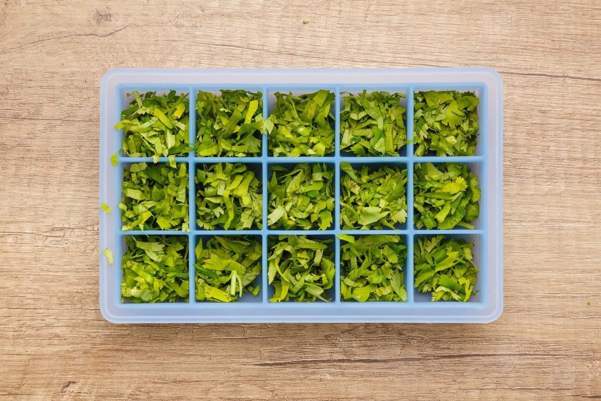 How To Freeze Cilantro