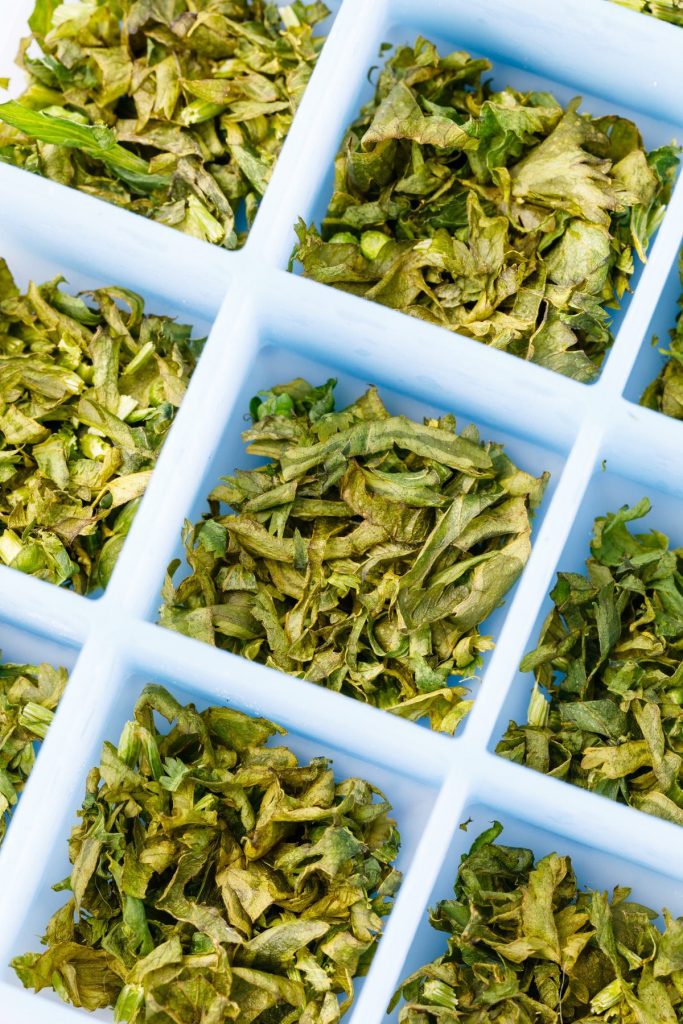 How To Freeze Cilantro