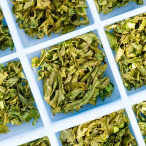 How To Freeze Cilantro