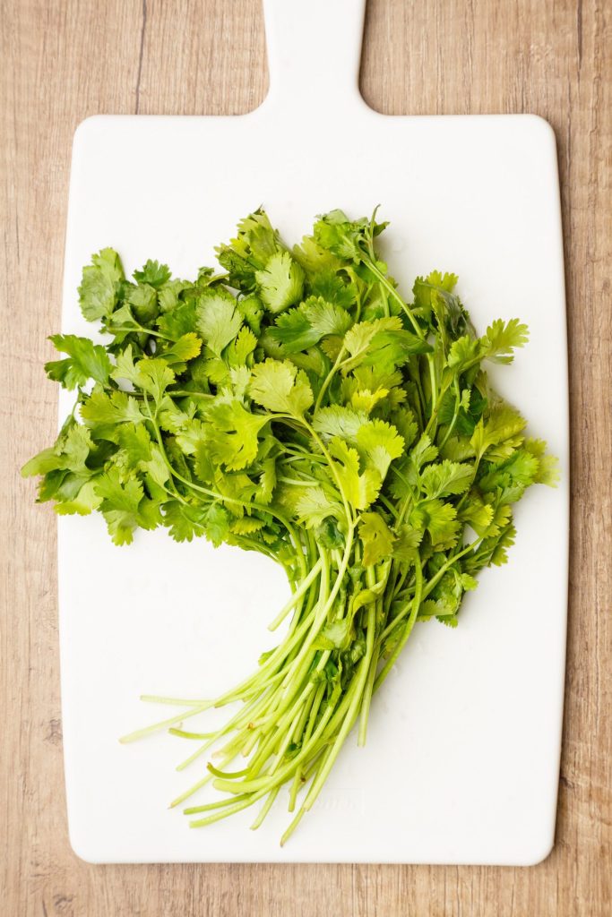 How To Freeze Cilantro