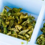 How To Freeze Cilantro