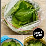 Frozen Spinach