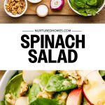 Spinach Salad Dressing